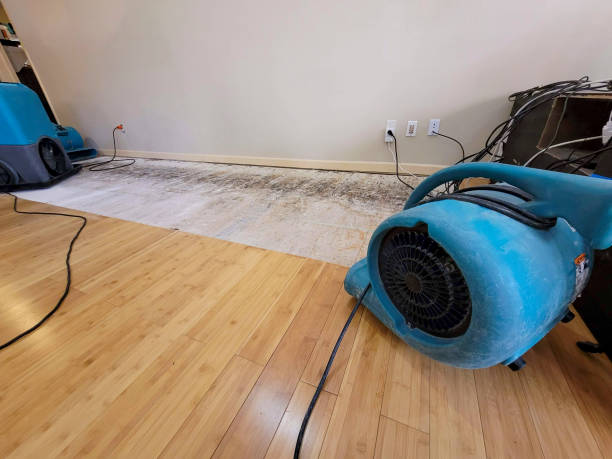 Professional Basement Flood Cleanup technician working in Defiance, OH